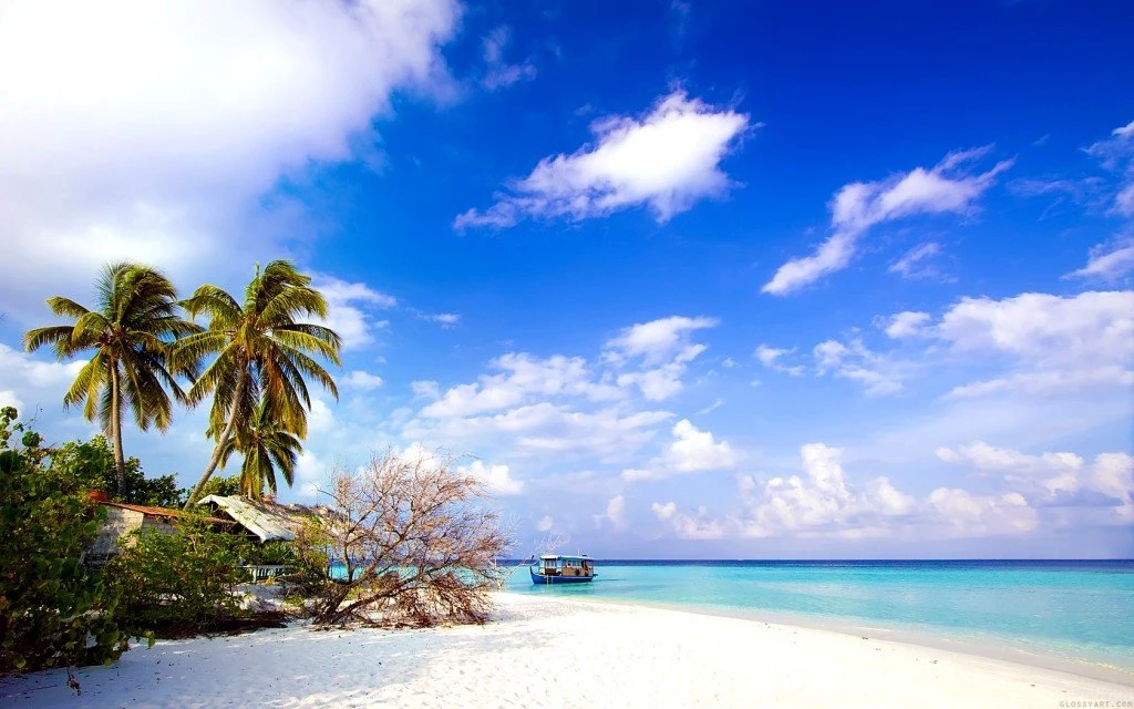 Beautiful Wallpapers Free Download Collection (40+)