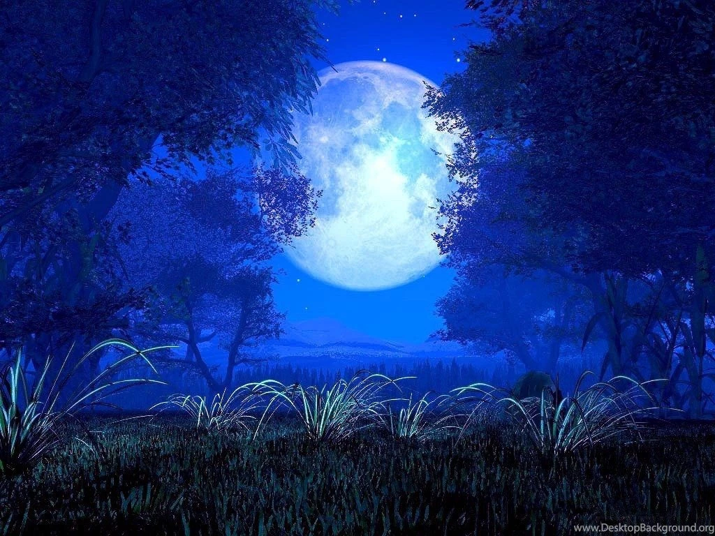 Wallpapers Moonlight Cartoon