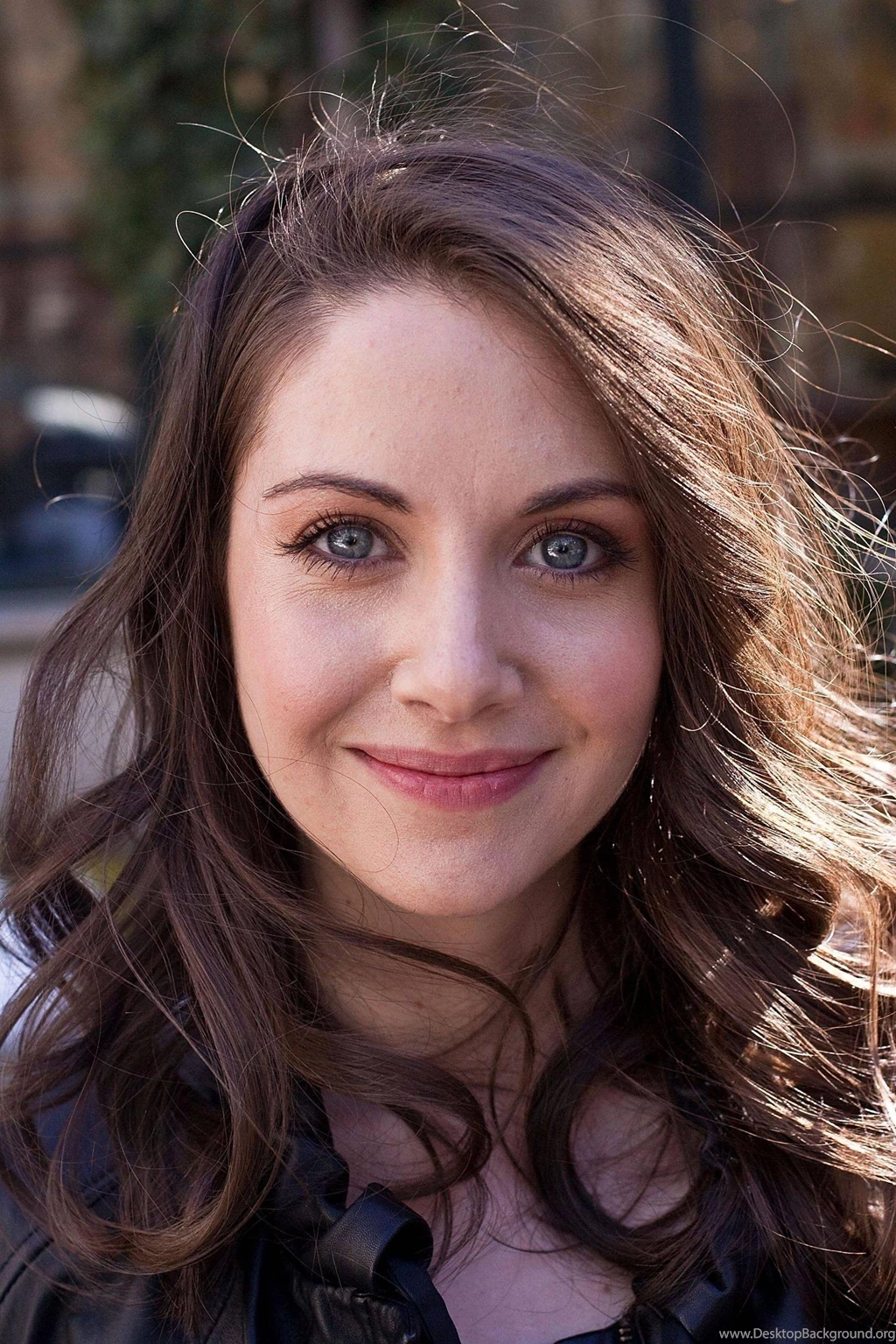 Download Alison Brie Wallpapers 1621x2430