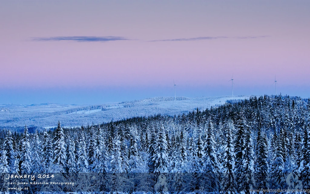 January 2014 Desktop Wallpapers