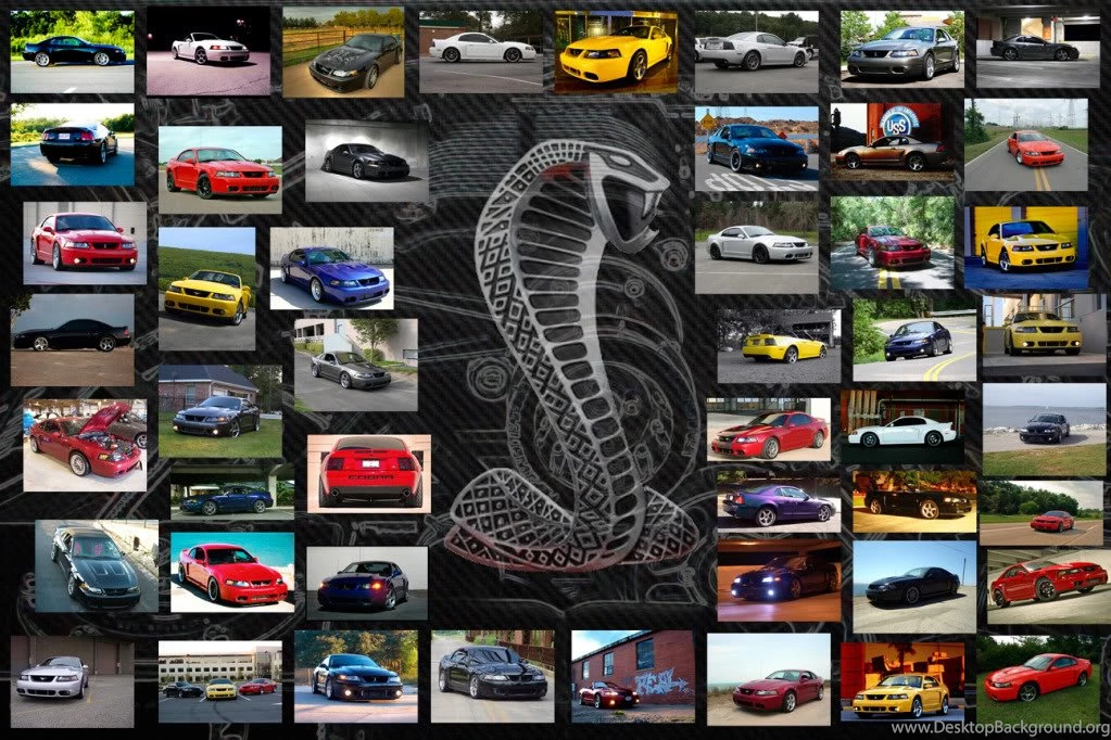 Mustang Wallpapers
