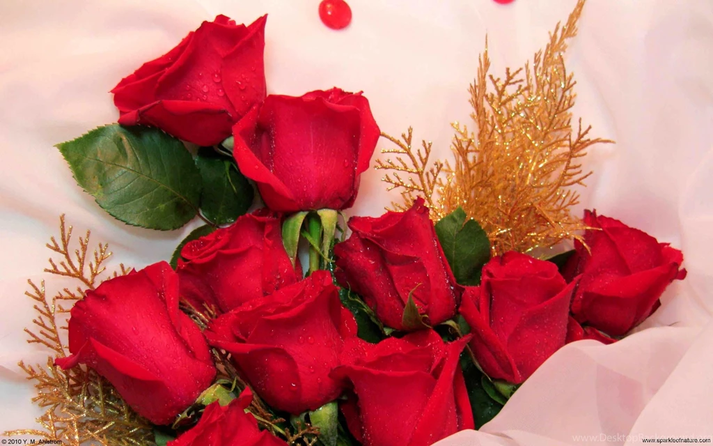 Red Rose Bouquet >> HD Wallpaper, Get It Now!