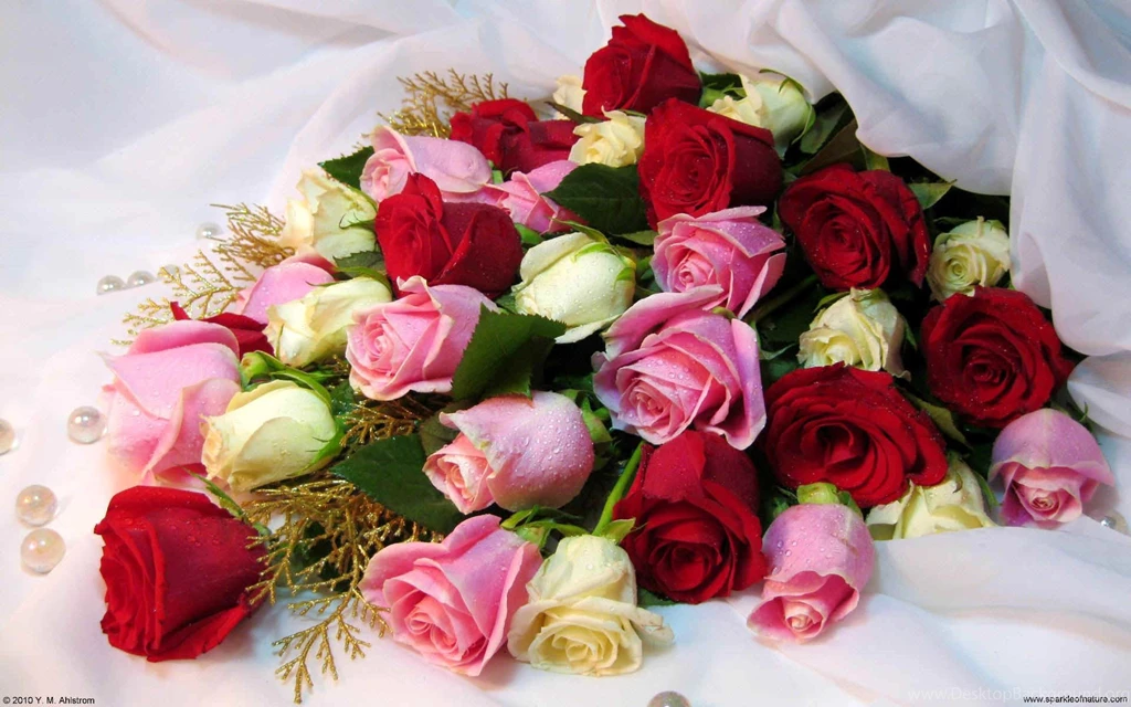 Rose Bouquet Wallpapers 2245 Flowers HD Desktop Wallpapers