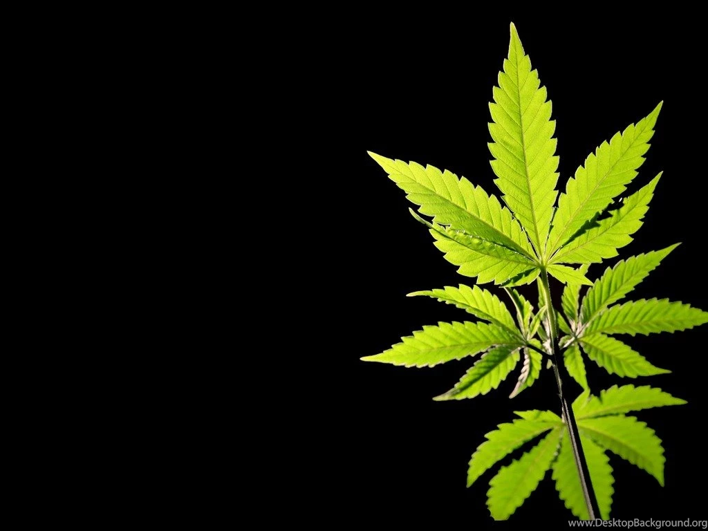 Wallpaper: Wallpapers Cannabis