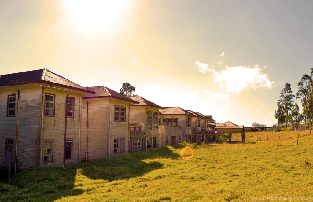 How To Easily Get All The Wallpapers Of The Ubuntu 14.04 Wallpapers ...