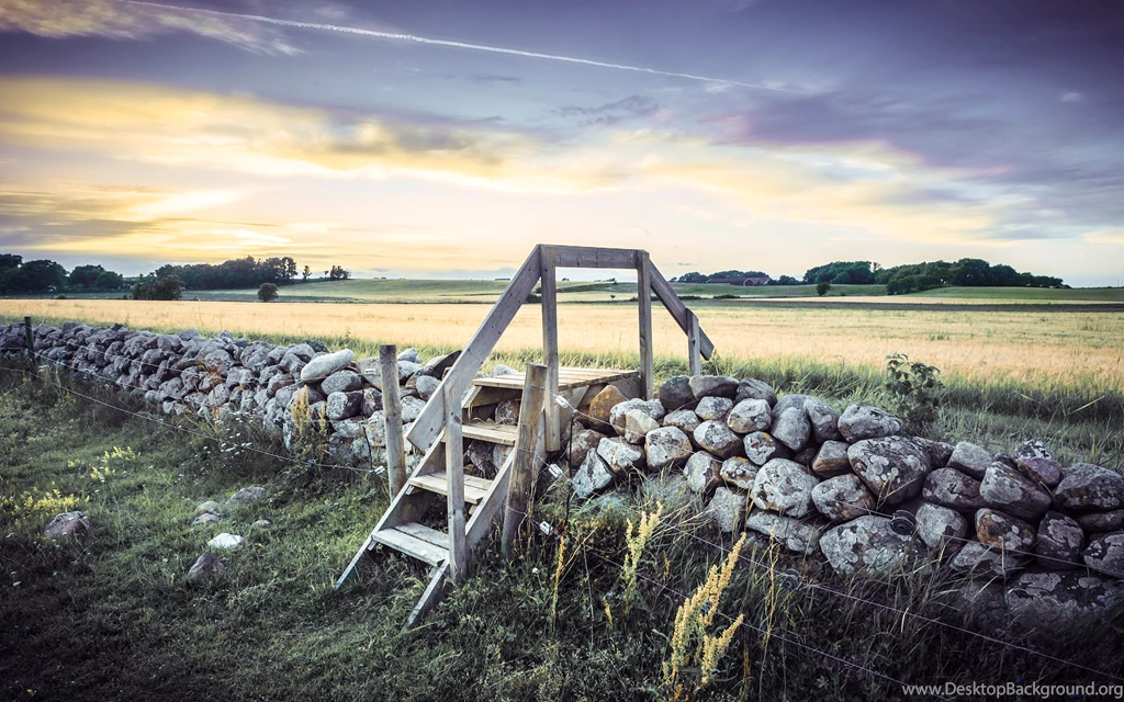 Retina Display Macbook Pro, Fencing, Stones, Trees, Wood ...