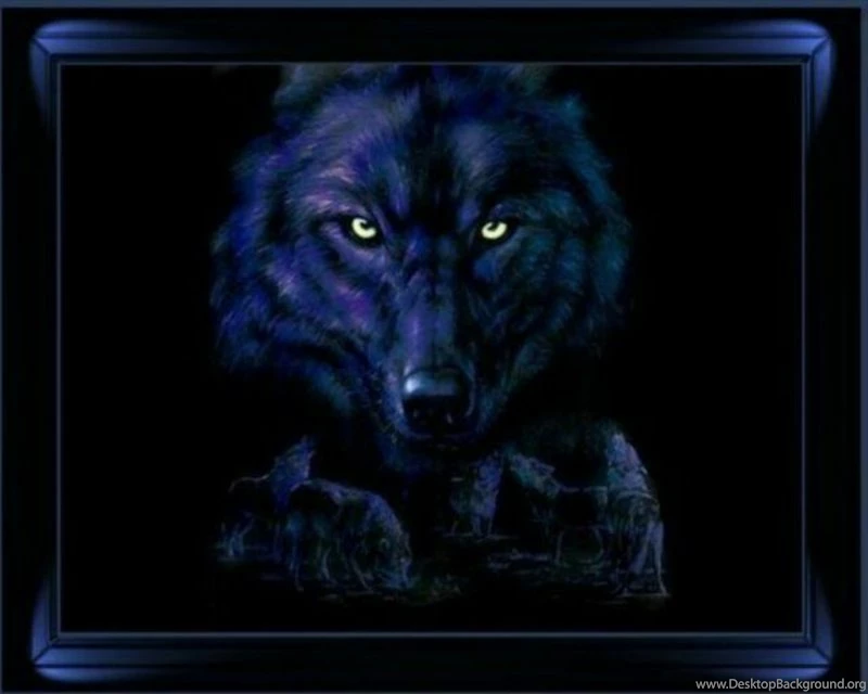 DARK EYES WOLF EYES – Animals Other HD Desktop Wallpapers