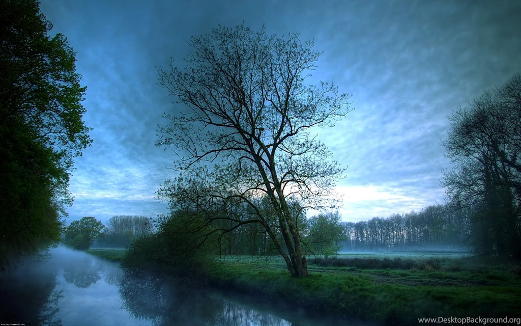 Widescreen HD Nature And Other 2560x1600 Wallpapers Collection 2 ...