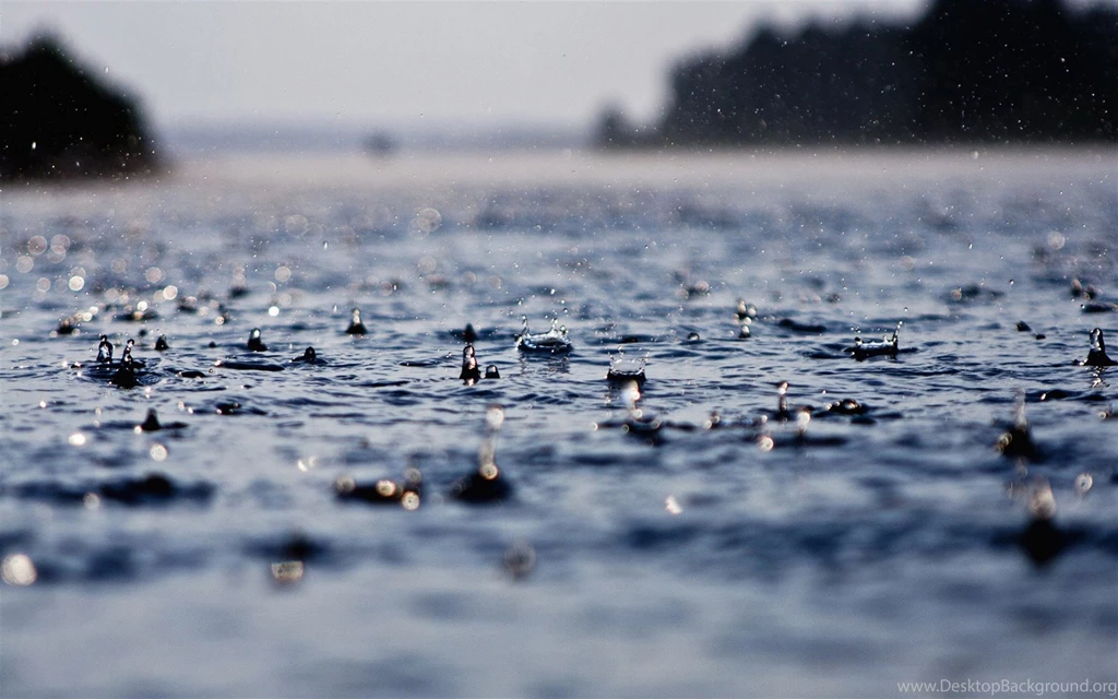 Summer Raindrops Close Up HD Desktop Wallpapers 05 1920x1200 ...