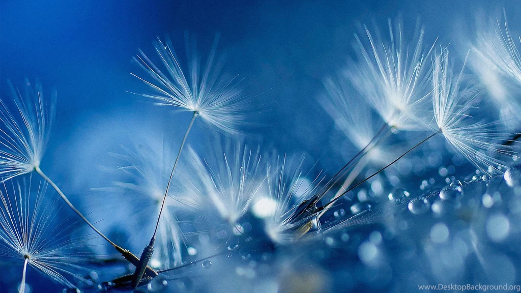 S5 Wallpapers Hd 1080p Download For Desktop
