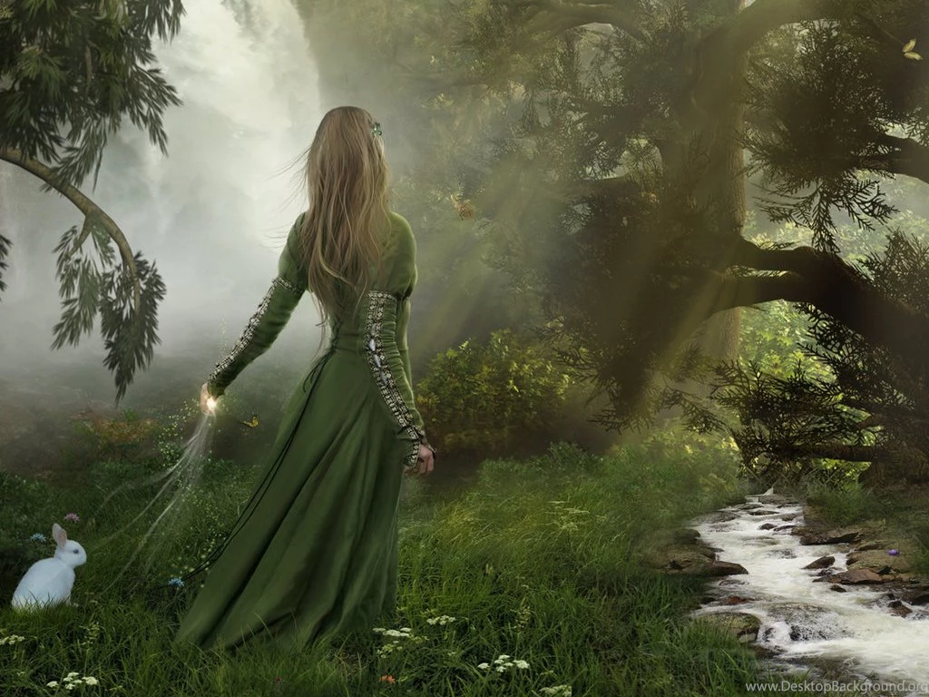 Wallpapers Enchanted Forest High Resolution Photo
