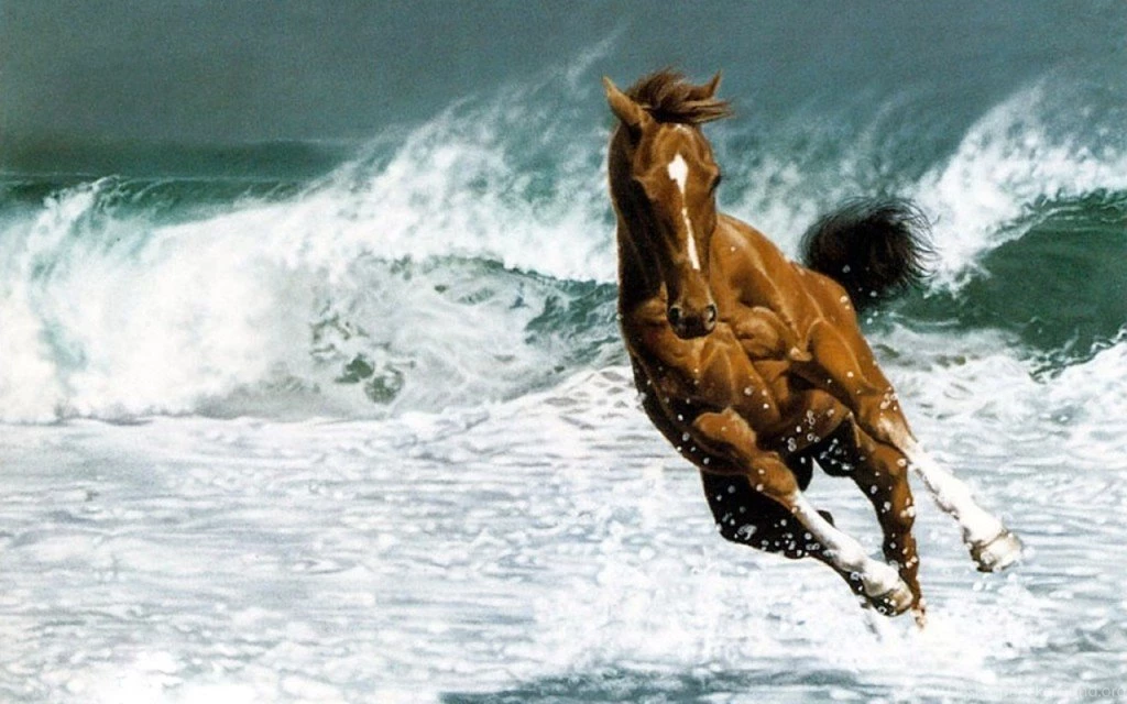 Running In Ocean Horse Wallpapers