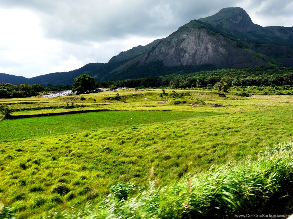 File:Agriculture Farm TamilNadu India Near Kerala.jpg Wikimedia ...