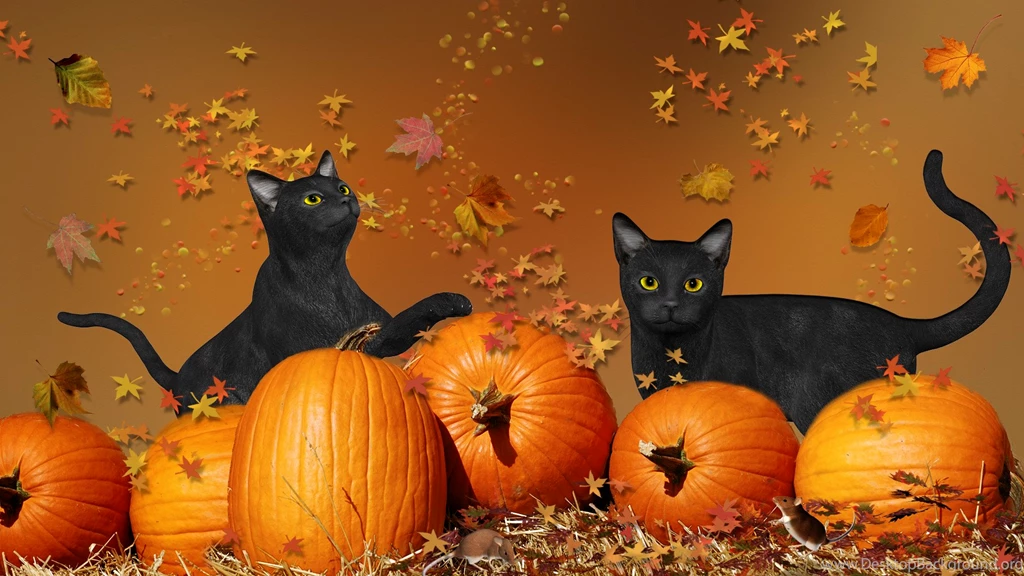 Black Kittens Halloween Images