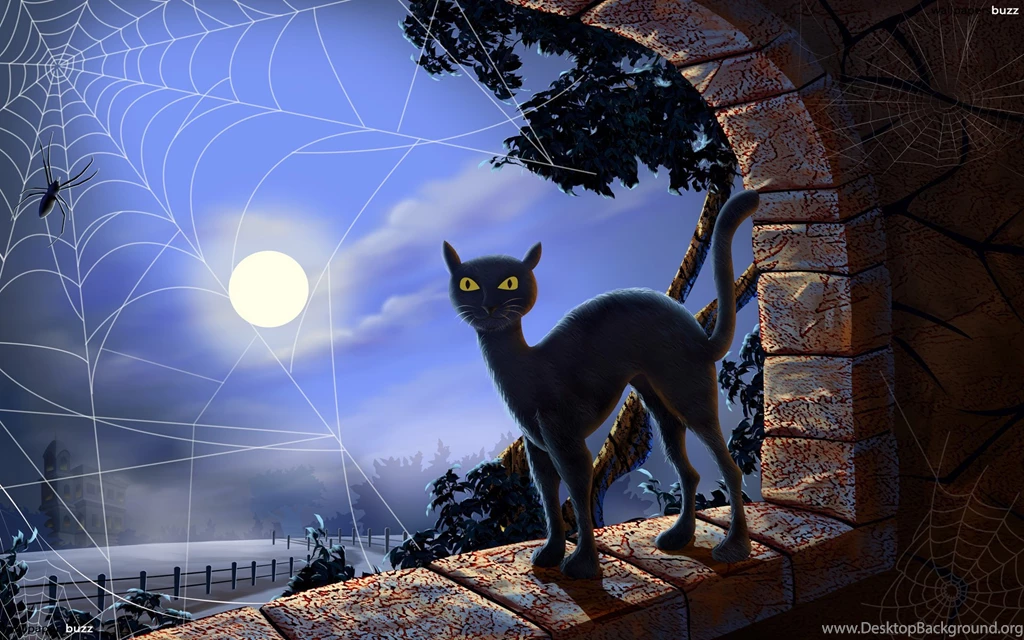 Black Cat On A Windowsill HD Wallpapers