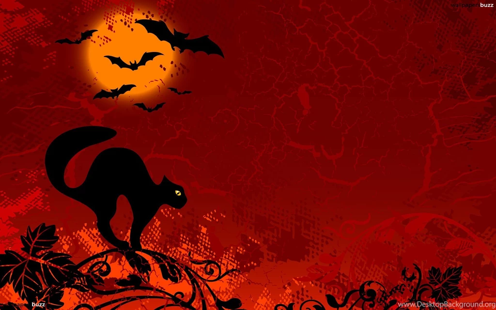 Black Halloween Cat HD Wallpapers