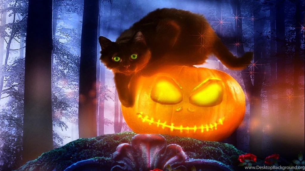 Cats Wallpapers Page 4: Honey Eyes Cat Kitten Pet Feline ReWalls ...
