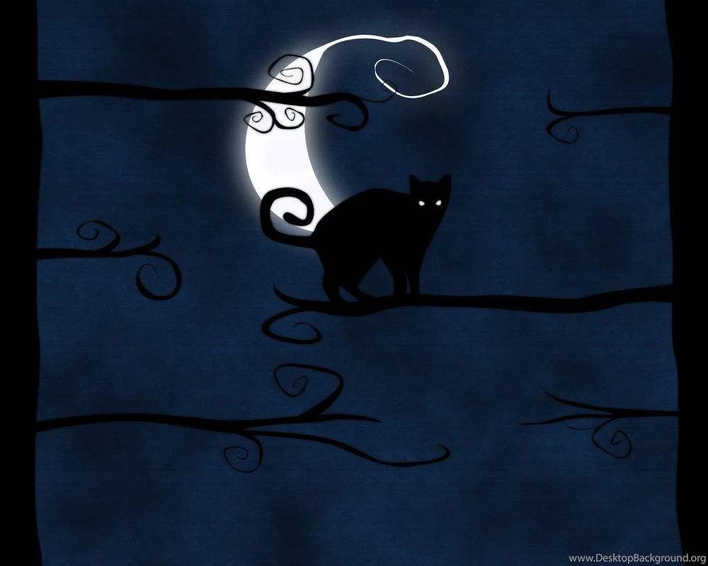 13 Black Cat Wallpapers