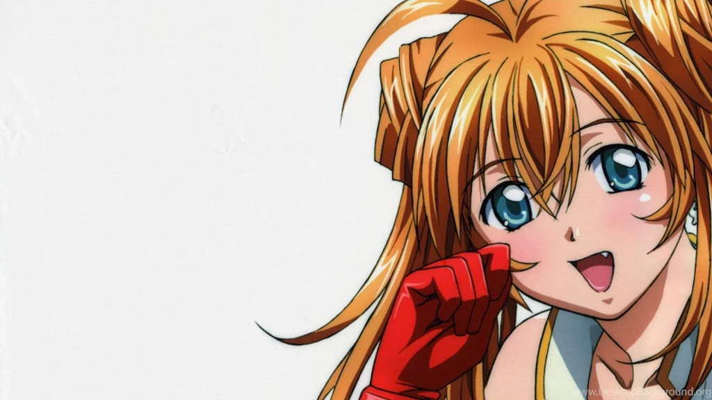 Ikki Tousen Sonsaku Hakufu Simple Backgrounds Wallpapers (
