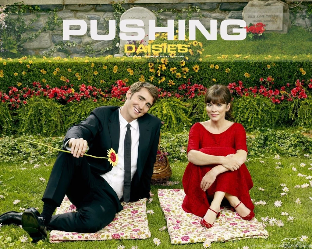 Top HD Pushing Daisies Wallpapers