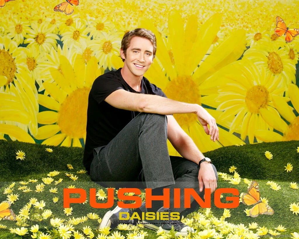 Pushing Daisies Pushing Daisies Wallpapers (2960752) Fanpop
