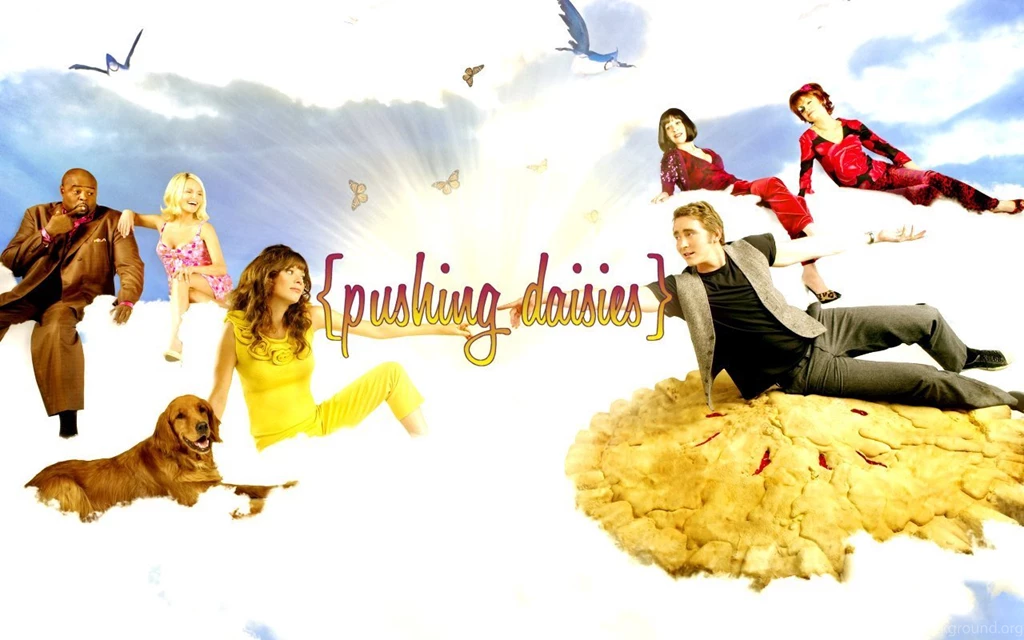 Season 2 Cast Wallpapers Pushing Daisies Wallpapers (2182911) Fanpop