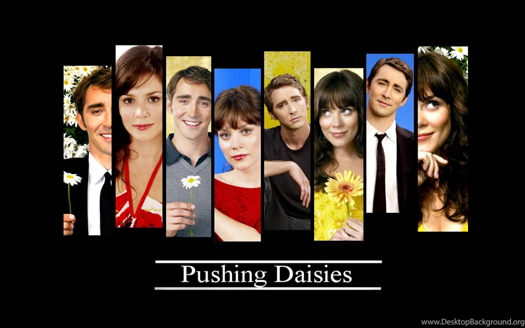 Pushing Daisies Wallpapers By ForeverKnight On DeviantArt