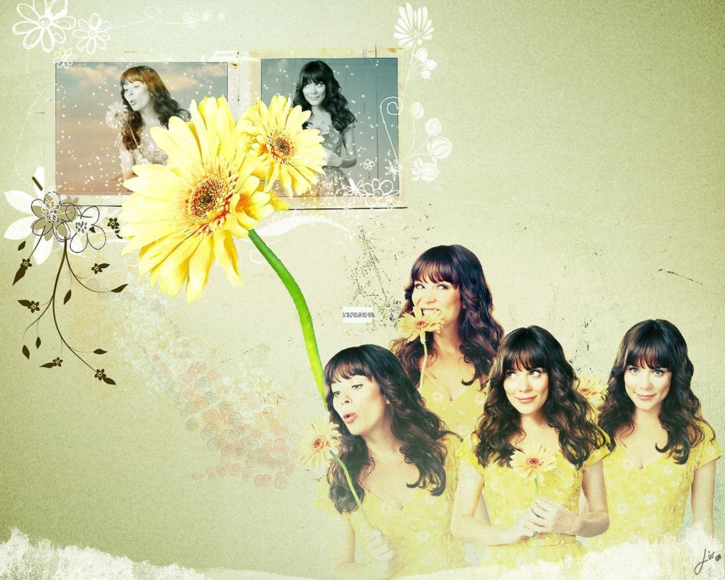 Pushing Daisies Wallpapers By Migosch On DeviantArt