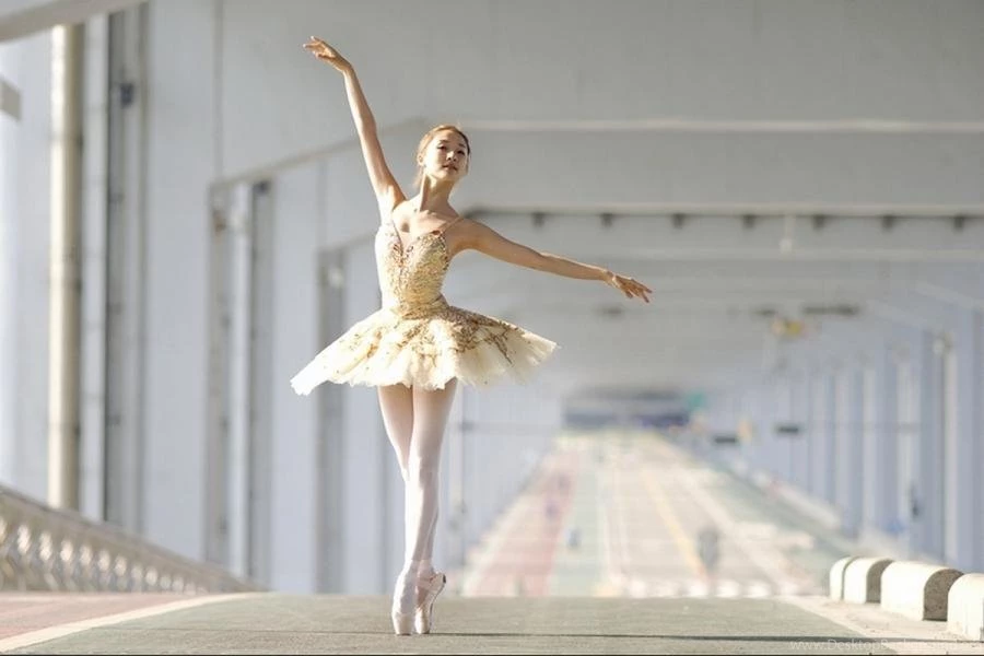 Ballet Dancer ... Pixdaus