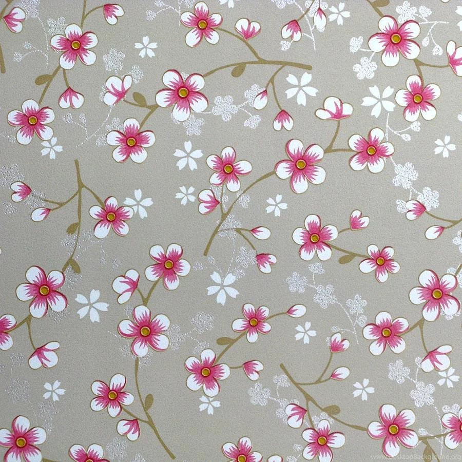 Cherry Blossom Wallpapers By Fifty One Percent