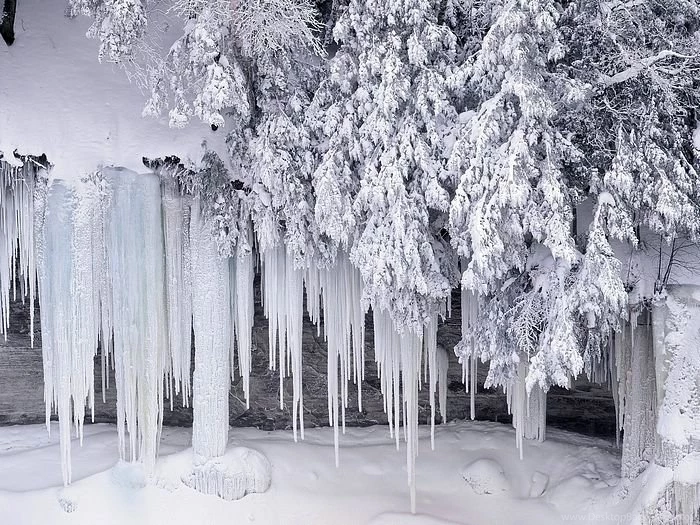 Winter Wondrland : Amazing Winter & Snow Photography Wallcoo.net