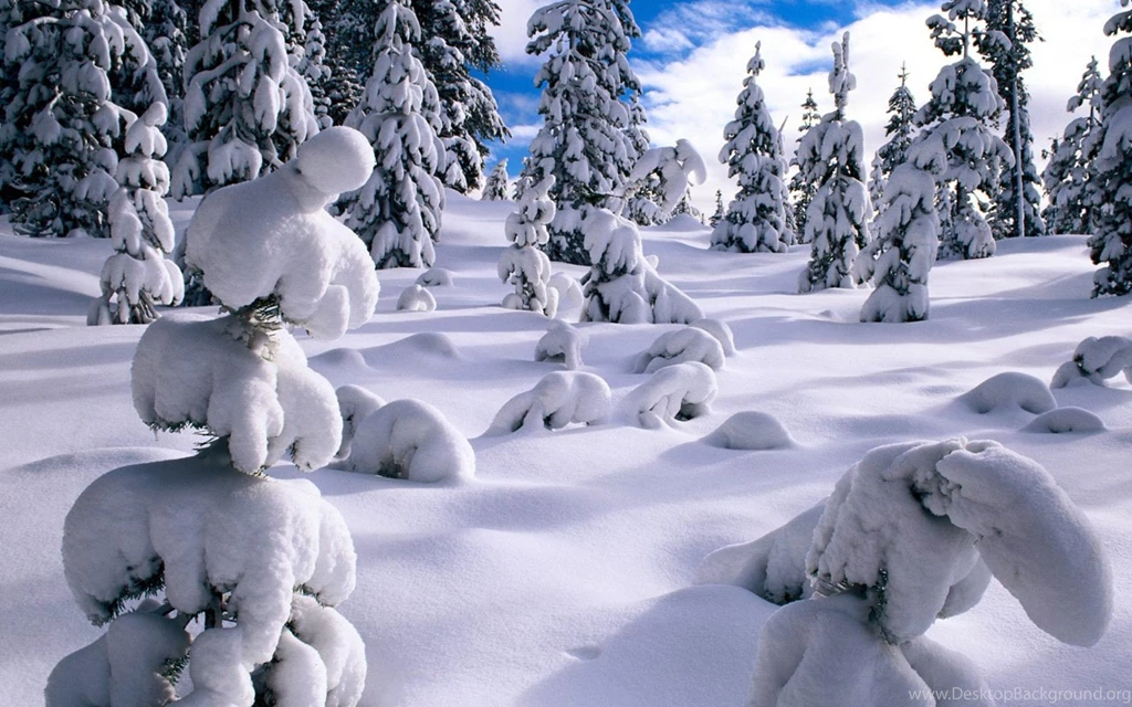 Winter Wonderland : Dreamy Snow Scene Wallpapers 1440x900 NO.7 ...
