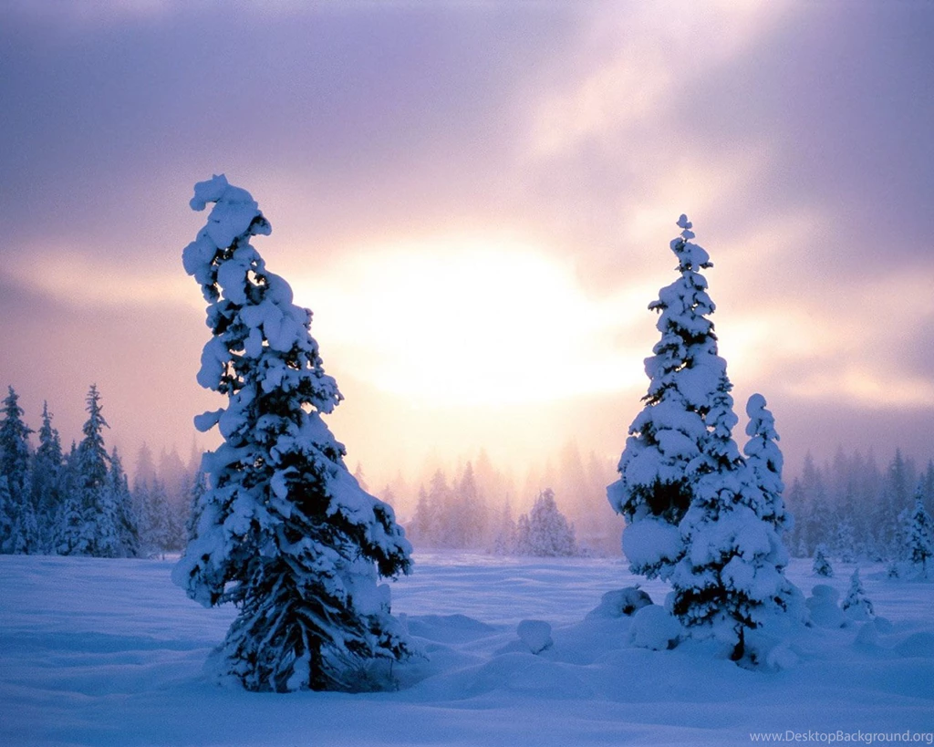 Winter Wonderland : Dreamy Snow Scene Wallpapers 1280x1024 NO.10 ...