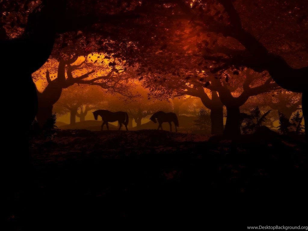 Desktop Wallpapers · Gallery · 3D Art · Horses In The Night Forest ...