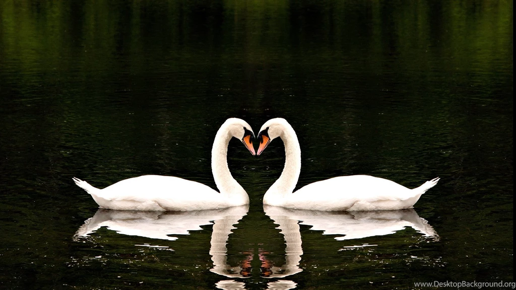 7 Free 1920x1080p Love Laptop HD Wallpapers   Birthday Wishes, 3D ...