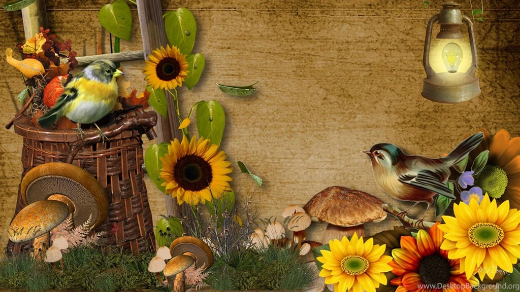 Beginning Of Harvest >> HD Wallpaper, Get It Now!