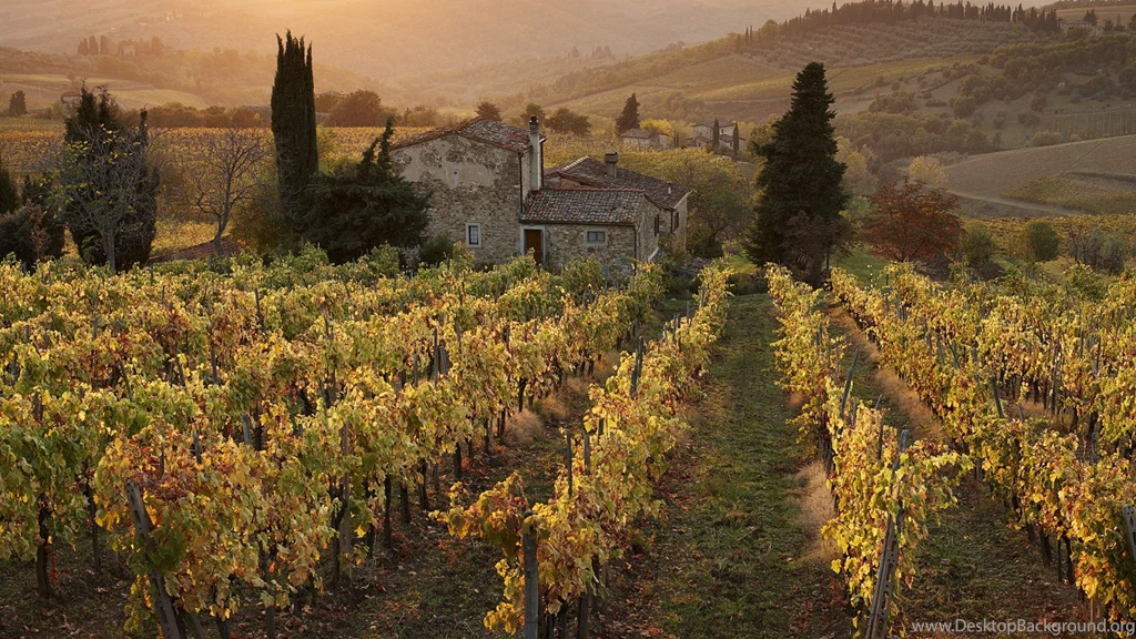 Autumn Harvest Wallpapers