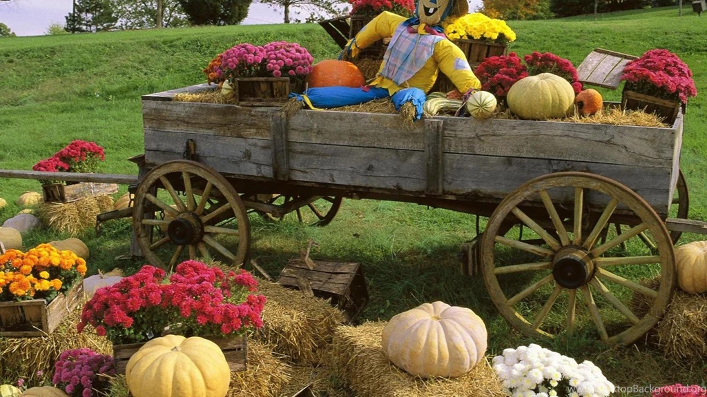 Autumn Harvest Wallpapers   (