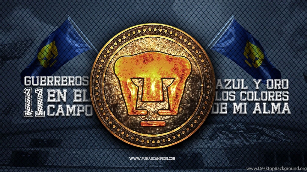 Pumas wallpapers hd 01.jpg