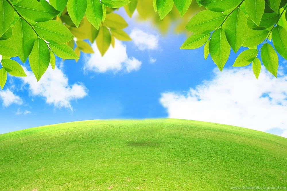 Index Of /wp content/uploads/2015/05