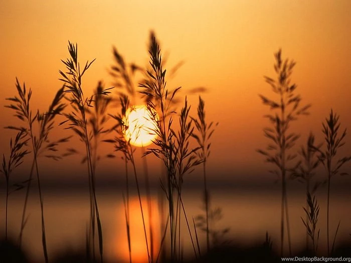 Photos: 2 A Setting Sun Wallcoo.net