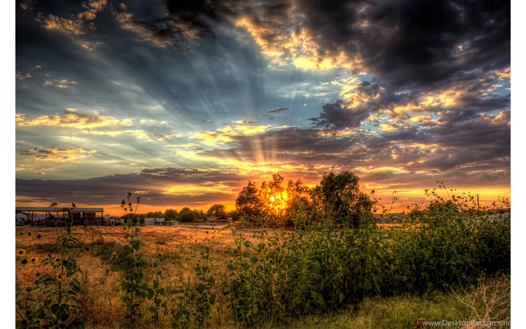 Country Setting 4K Sunset Wallpapers