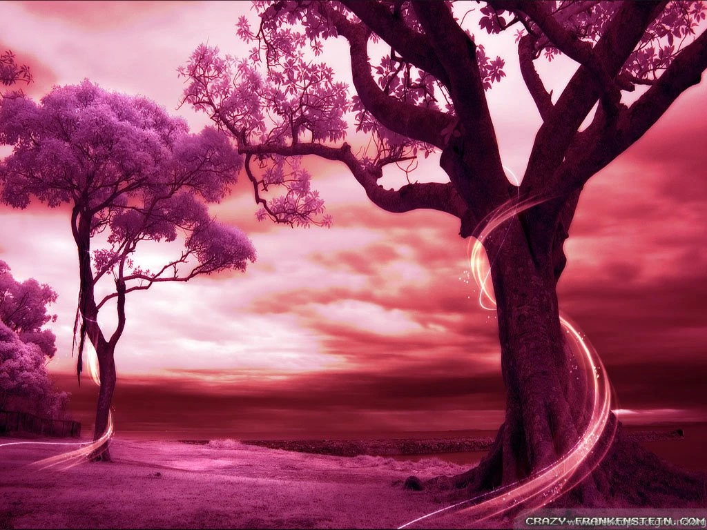 Romantic Scenes Wallpapers 2 Crazy Frankenstein