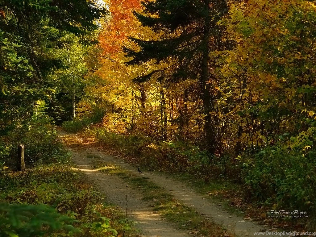 Fall Scenes Wallpapers HD Wallpapers And Pictures