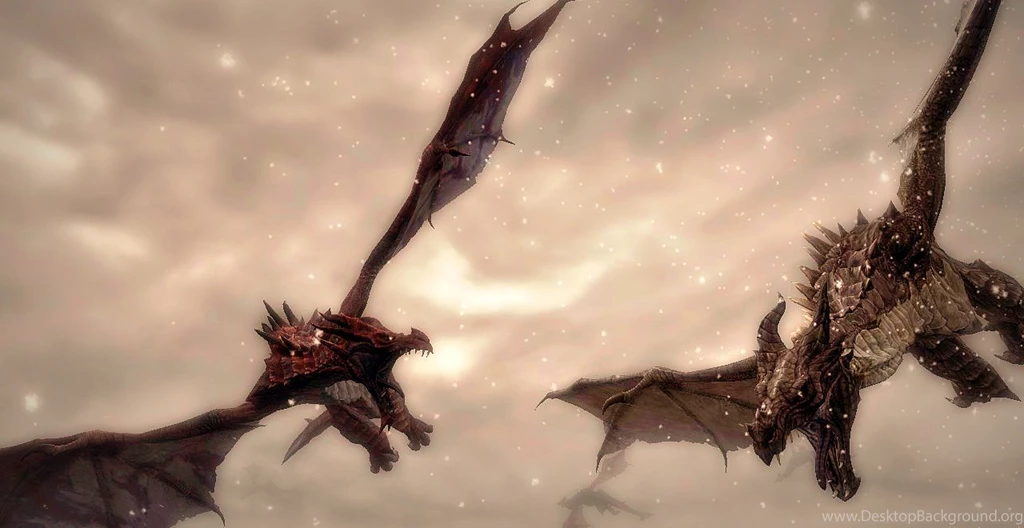 Skyrim Wallpaper: Dogfight By Naytile On DeviantArt