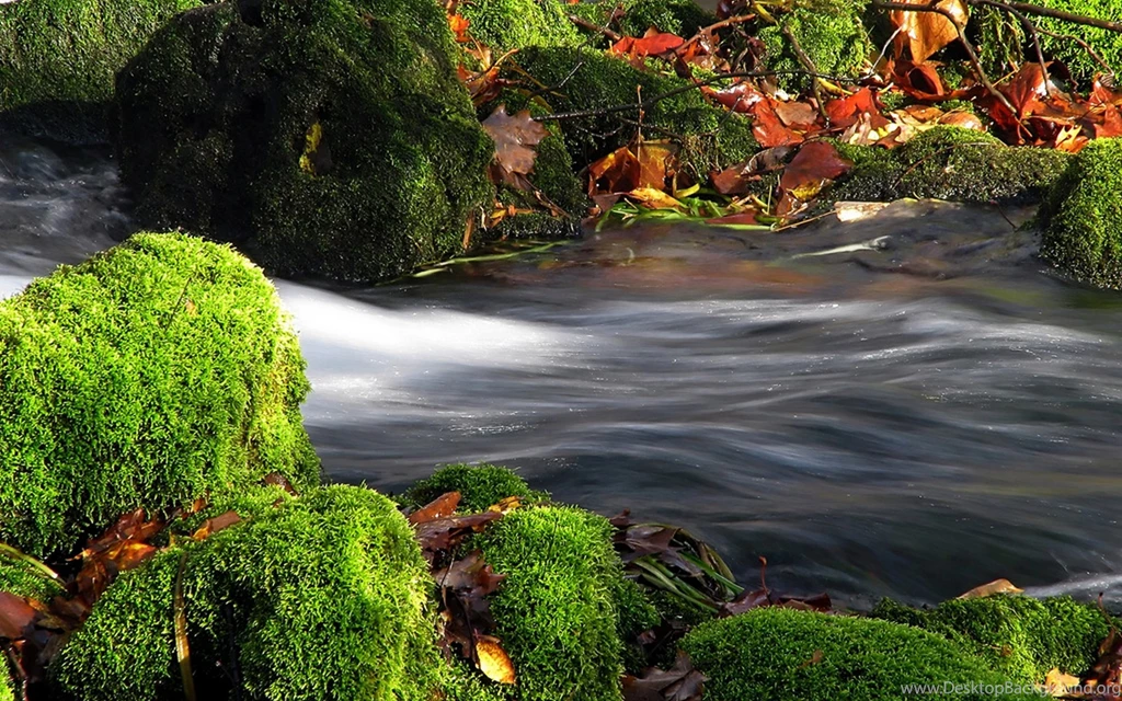 Flowing Water River Wallpaper.