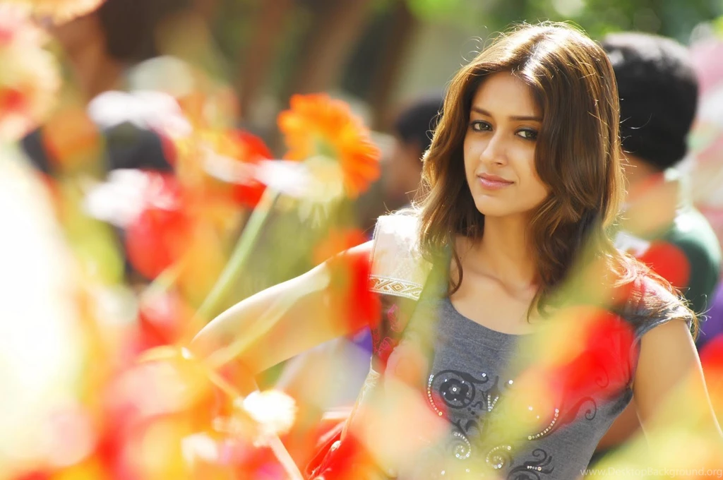 Ileana D'cruz In Saree Wallpapaper