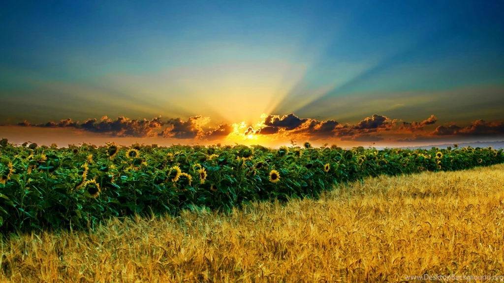 Download Stunning Sunset Wallpapers 8386 1920x1080 Px High ...