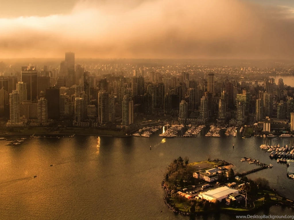 Stunning Black Cat Wallpapers