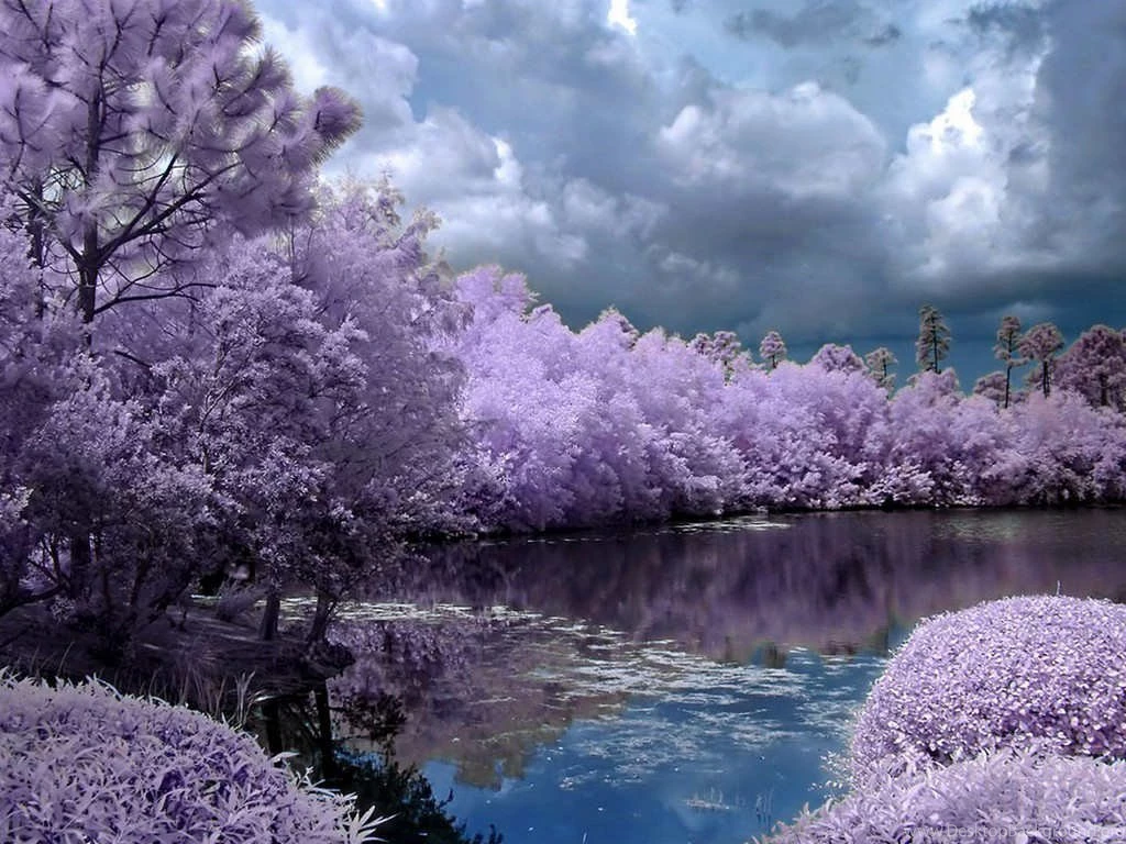 Stunning Wallpapers Of Lakes